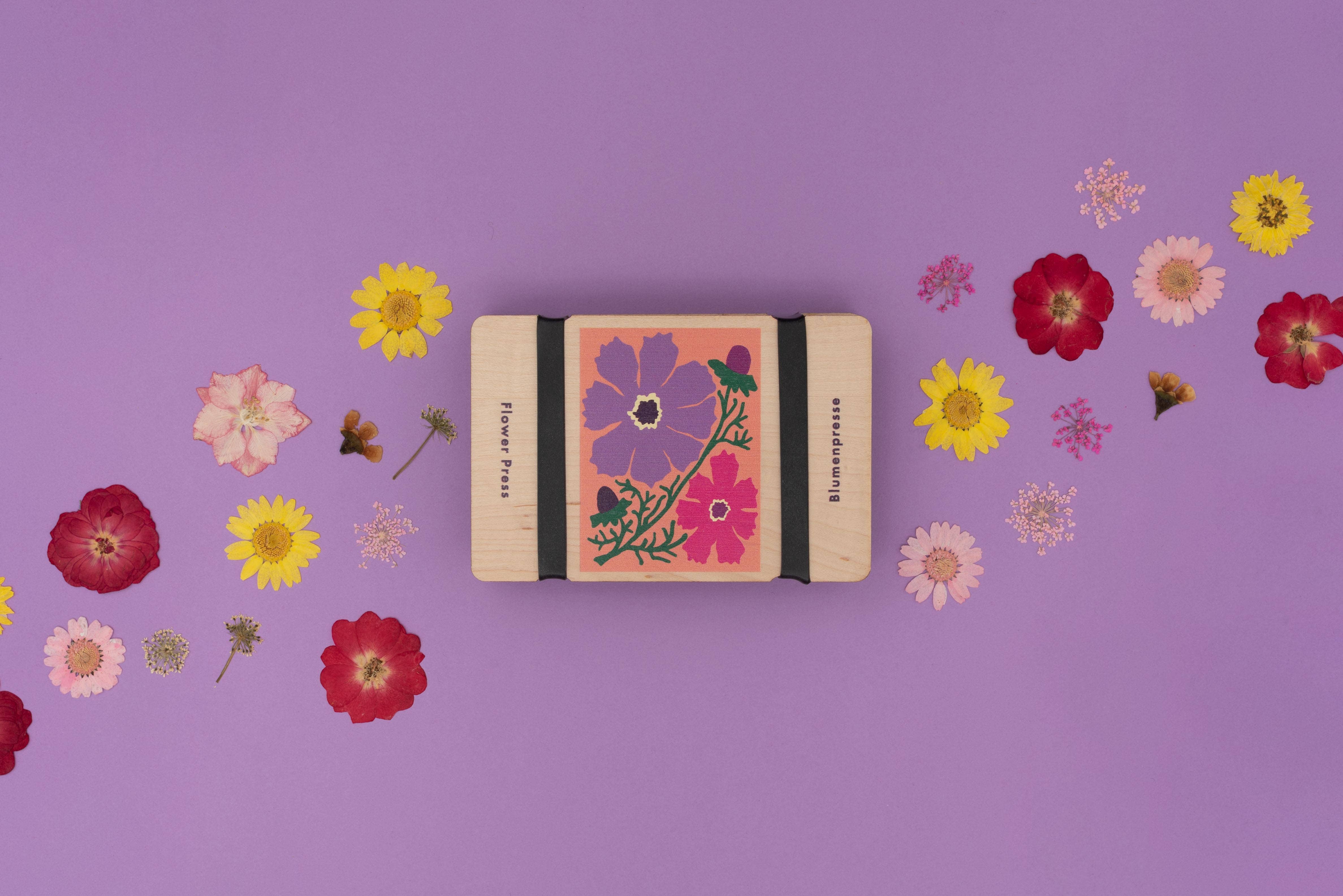 Photo 6 of 7