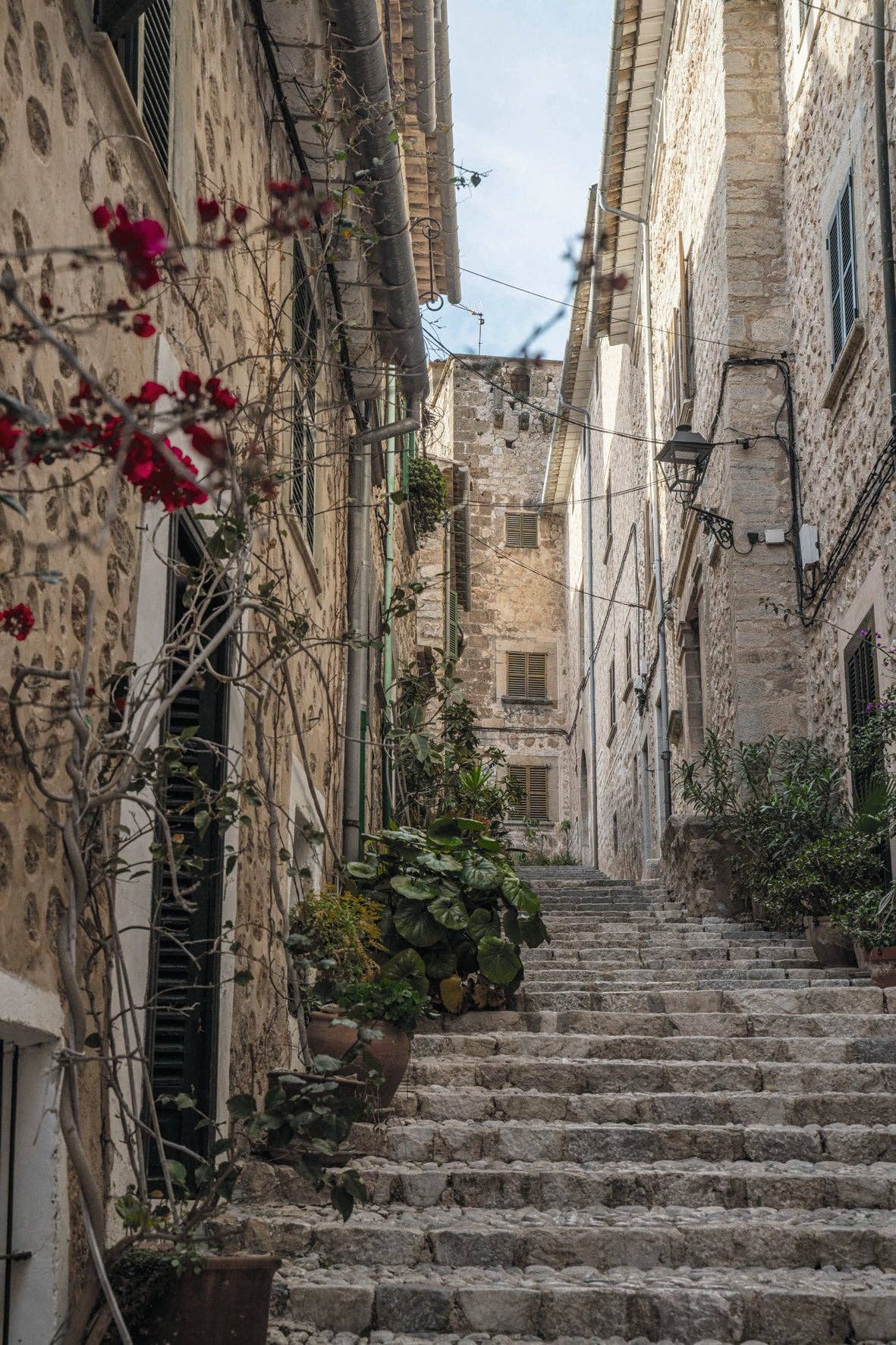 Charming Mallorca, photo 5 of 8