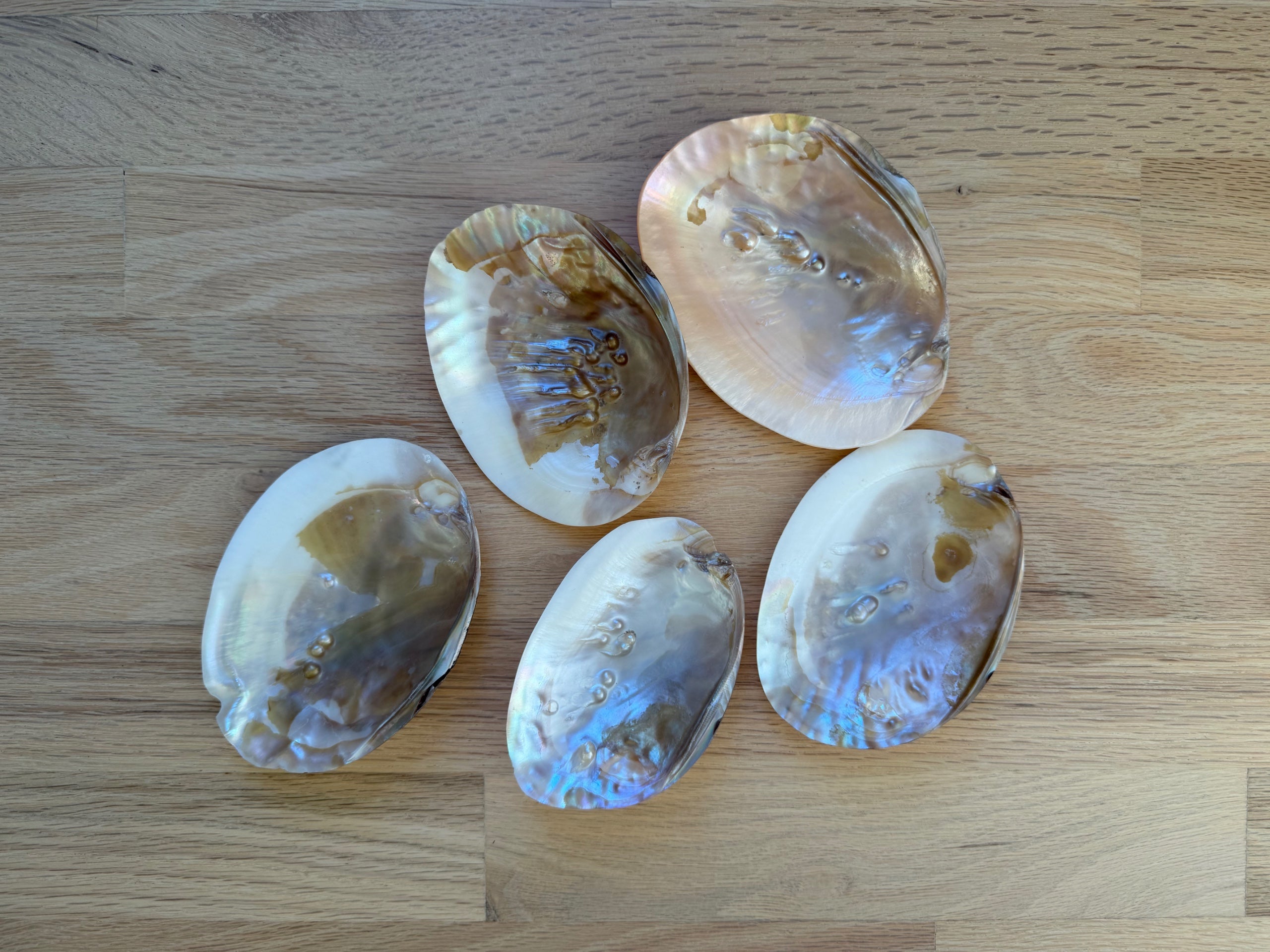 Aegean Sea Mother of Pearl Shell - Mini