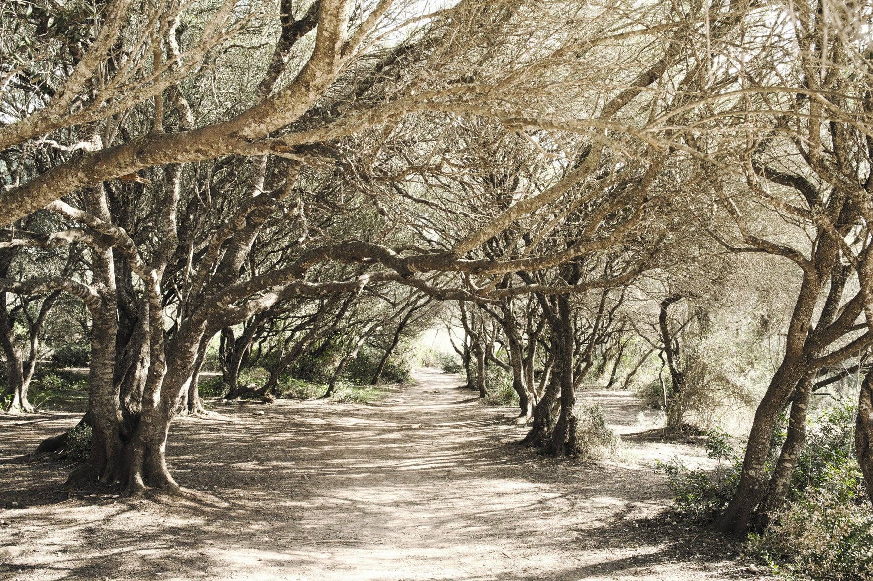 Charming Mallorca, photo 6 of 8