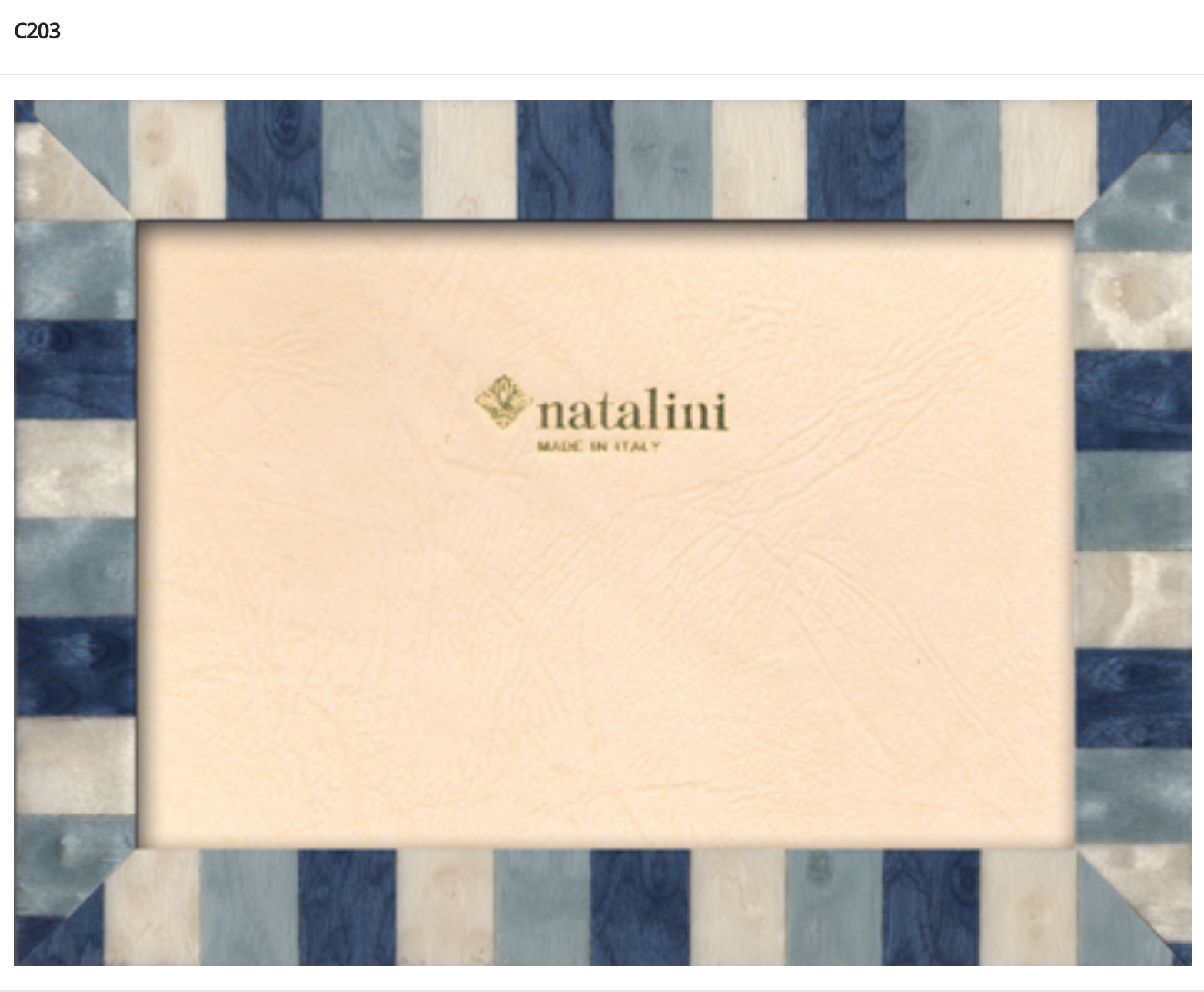 Natalini Frame - C203 Blu 4x6"